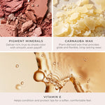 Silky Sculpt - Key ingredients of Pigment Minerals, Carnauba Wax, and Vitamin E in lip liners