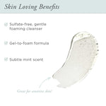 Sea Fresh Purifying Gel Foam Cleanser - PÜR Beauty